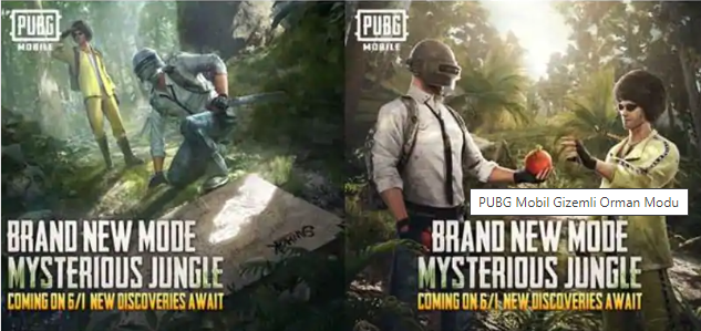PUBG Mobile: Gizemli Orman Modu