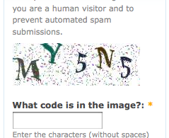 image_captcha_example