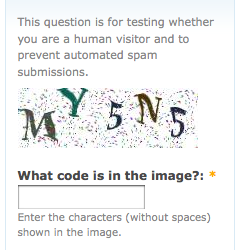 image_captcha_example