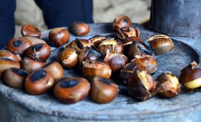 5c3edda00f2544064065dd53