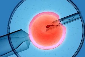 555x370-suni-tohumlama-caiz-midir-1548942325035