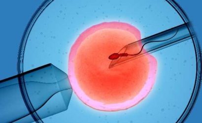 555x370-suni-tohumlama-caiz-midir-1548942325035