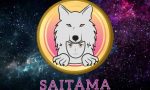 https://www.destek360.com/wp-content/uploads/2021/11/saitama-token.jpg