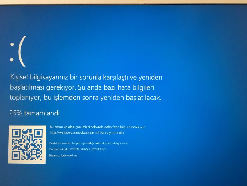 System Service Exception Hatası