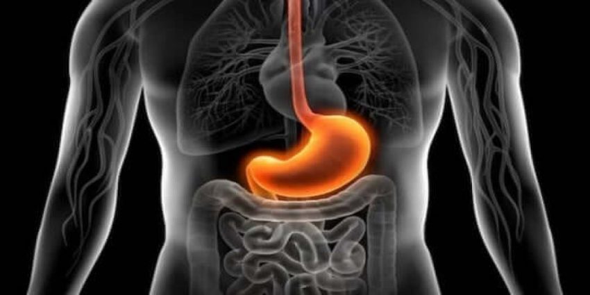 Miğde Ağrısı Nedir? Sebepleri Nelerdir?