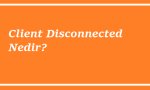 https://www.destek360.com/wp-content/uploads/2023/07/Client-Disconnected-Nedir.png