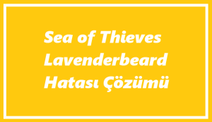 https://www.destek360.com/wp-content/uploads/2023/07/Sea-of-Thieves-Lavenderbeard.png