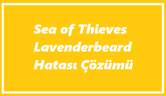 https://www.destek360.com/wp-content/uploads/2023/07/Sea-of-Thieves-Lavenderbeard.png
