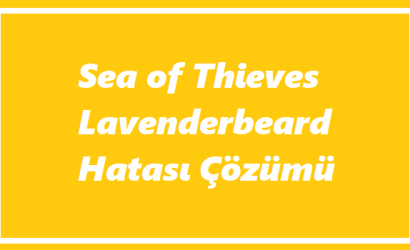 https://www.destek360.com/wp-content/uploads/2023/07/Sea-of-Thieves-Lavenderbeard.png
