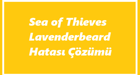 https://www.destek360.com/wp-content/uploads/2023/07/Sea-of-Thieves-Lavenderbeard.png