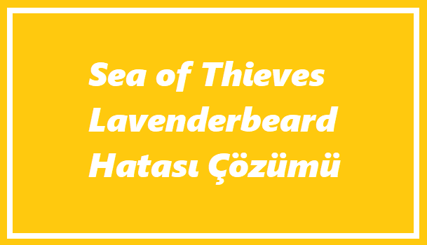 Sea Of Thieves Lavenderbeard Hatası