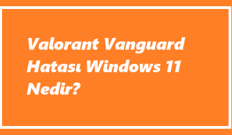 Valorant Vanguard Hatası Windows 11 Nedir?