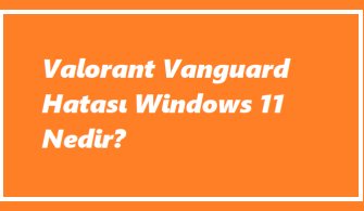 https://www.destek360.com/wp-content/uploads/2023/09/Valorant-Vanguard-Hatasi-Windows-11-Nedir.png