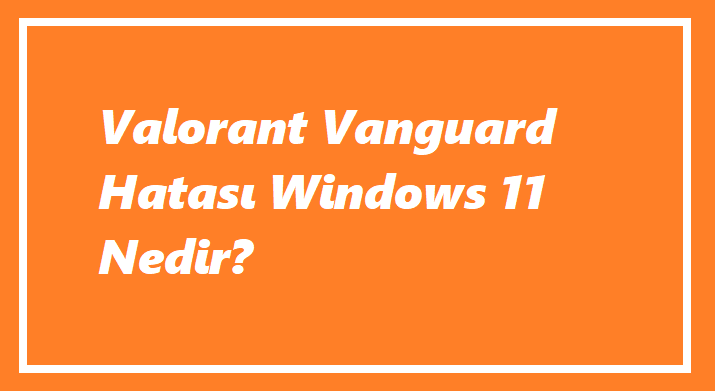 https://www.destek360.com/wp-content/uploads/2023/09/Valorant-Vanguard-Hatasi-Windows-11-Nedir.png
