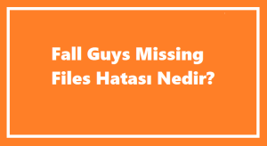 https://www.destek360.com/wp-content/uploads/2024/01/Fall-Guys-Missing-Files-Hatasi-Nedir.png