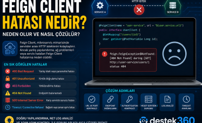 Feign Client hatası nedir